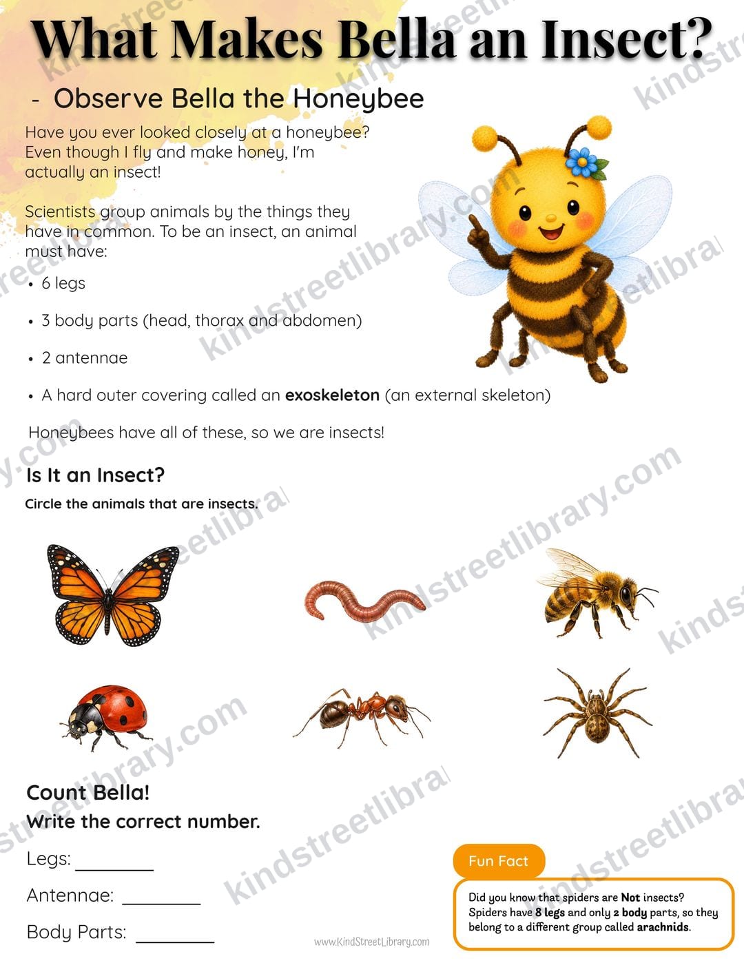 A real honeybee science page from the free five-day pack: the 'What Makes Bella an Insect?' activity